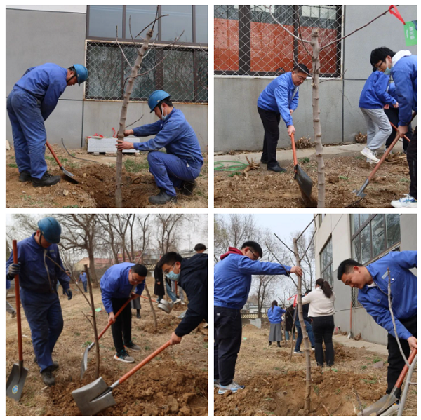 pp电子游戏·模拟器(试玩)官方网站