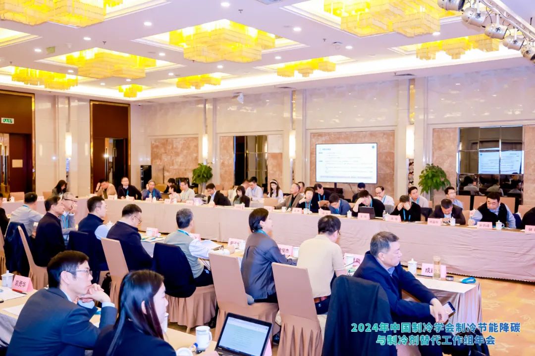 pp电子游戏·模拟器(试玩)官方网站